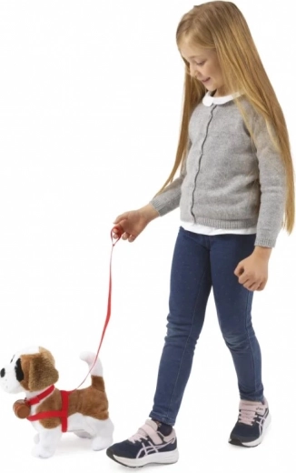 Läuft an der Leine und reagiert auf Klatschen