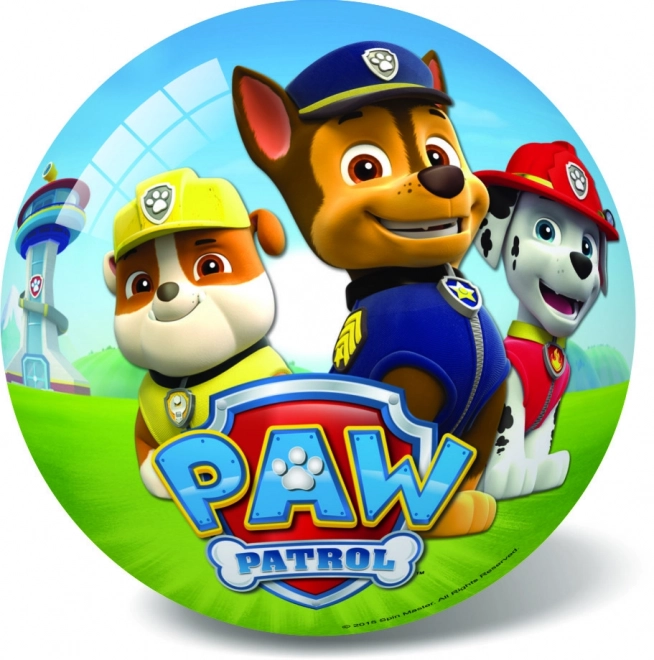 Paw Patrol Ball Aufblasbar 23cm in Netz