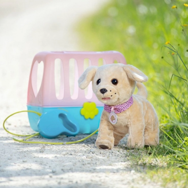 Veseliger Hund mit Transportbox