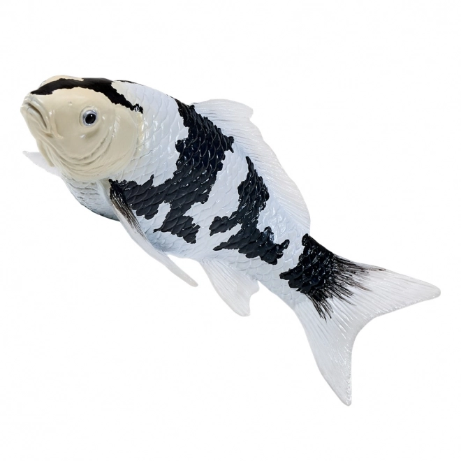 Mojo Karpfen Koi Shiro Utsuri