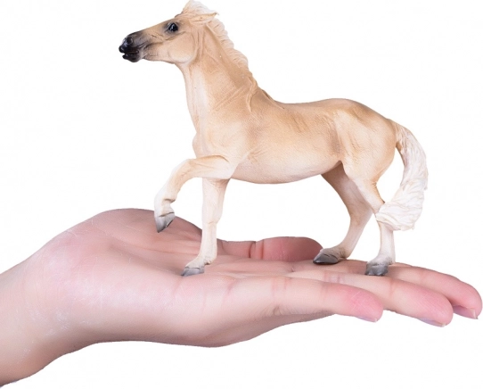 Lehrreiche und sammelwürdige Figur