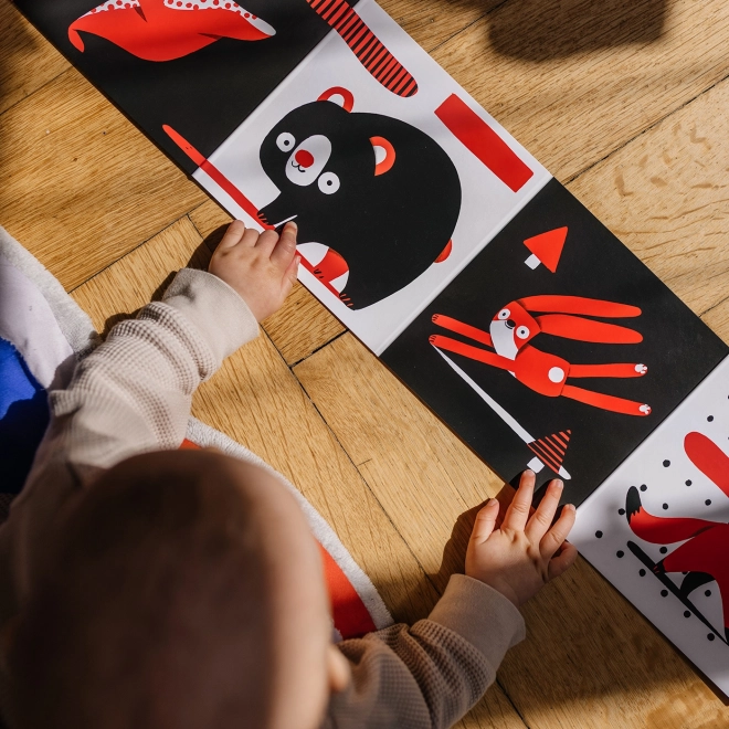 Ababu Kontrast-Bilderbuch für Babys mit Illustrationen von Patrik Antczak