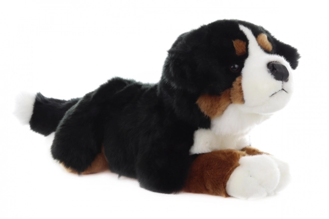 Plüsch Berner Sennenhund 42 cm