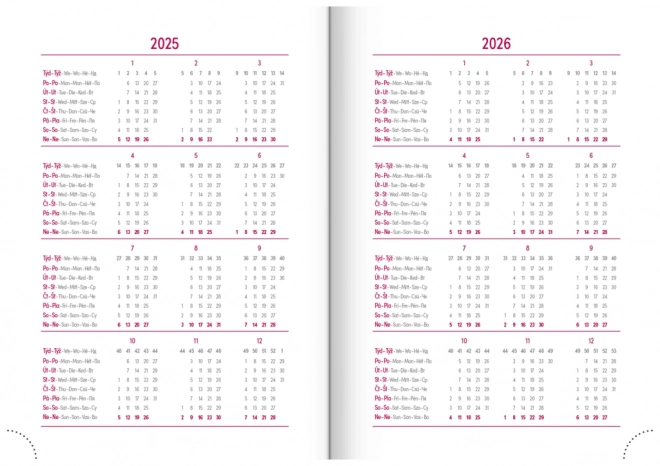 Notique Tageskalender Aprint Neo 2025 in Rosa