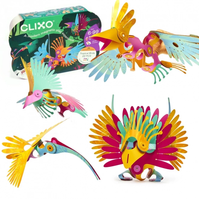Magnetische Bausätze Clixo tropische Vögel aus dem Regenwald