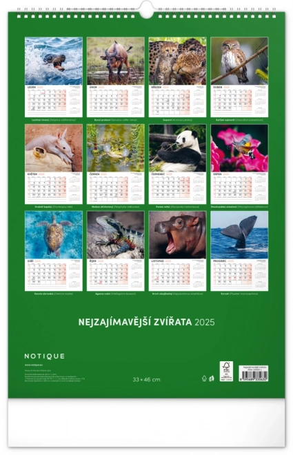 Wandkalender Faszinierende Tiere 2025