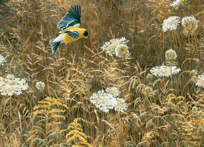 Realistische Kunst von Robert Bateman