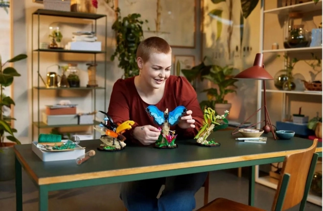 Lego Ideas Insektensammlung