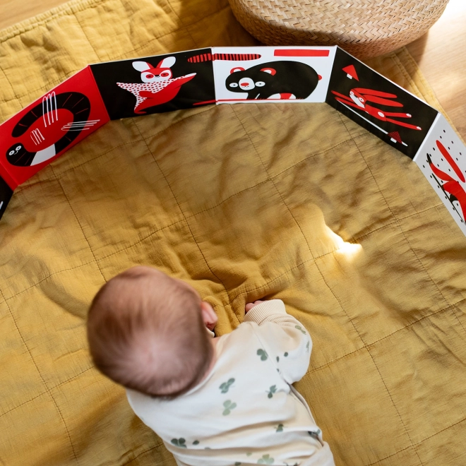 Ababu Kontrast-Bilderbuch für Babys mit Illustrationen von Patrik Antczak
