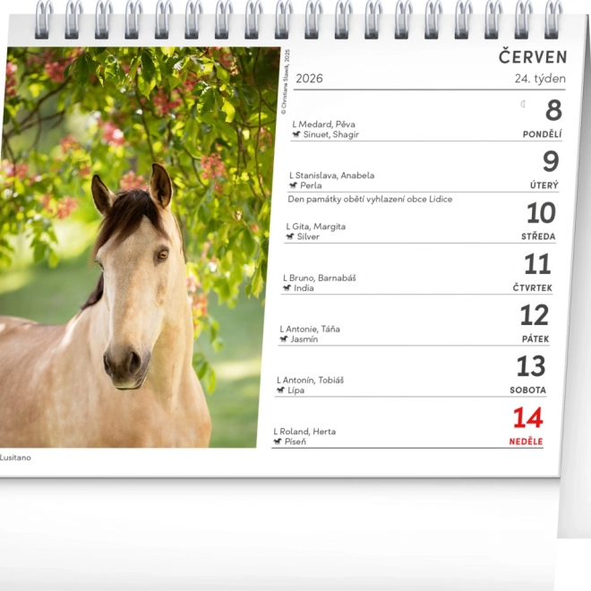 Tischkalender Pferdepoesie 2026
