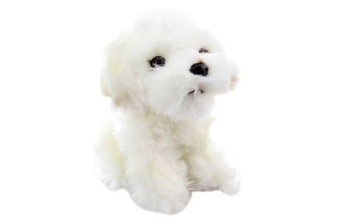 Kuschel Maltipoo 18 cm umweltfreundlich