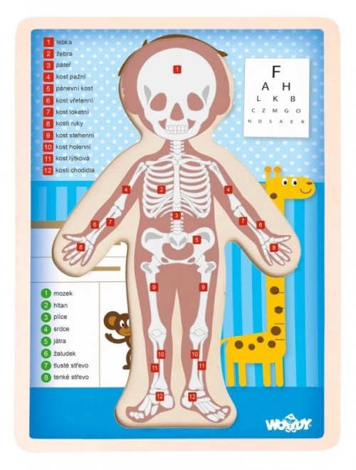 Puzzle Menschlicher Körper für Jungen