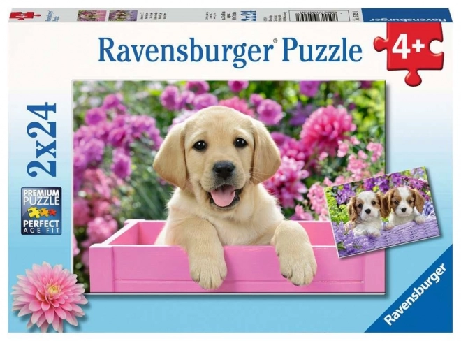 Ravensburger Puzzle Ich und mein Freund 2x24 Teile