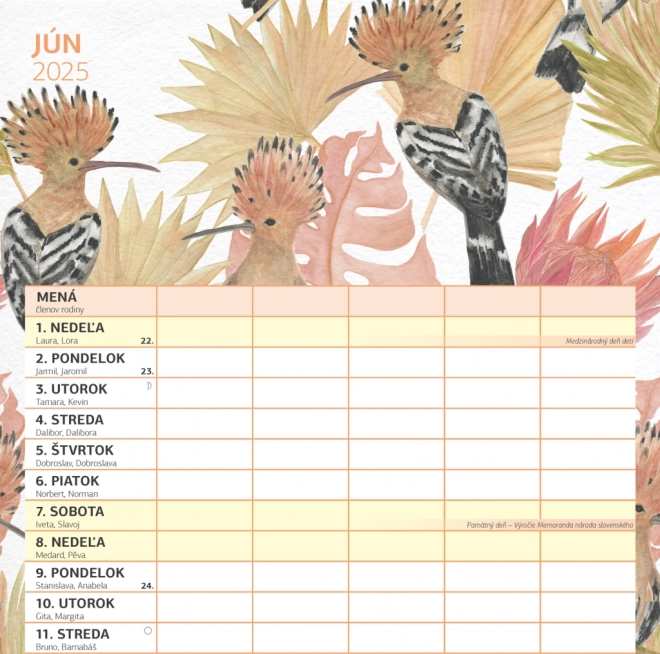 Familienplaner Kalender 2025 von NOTIQUE