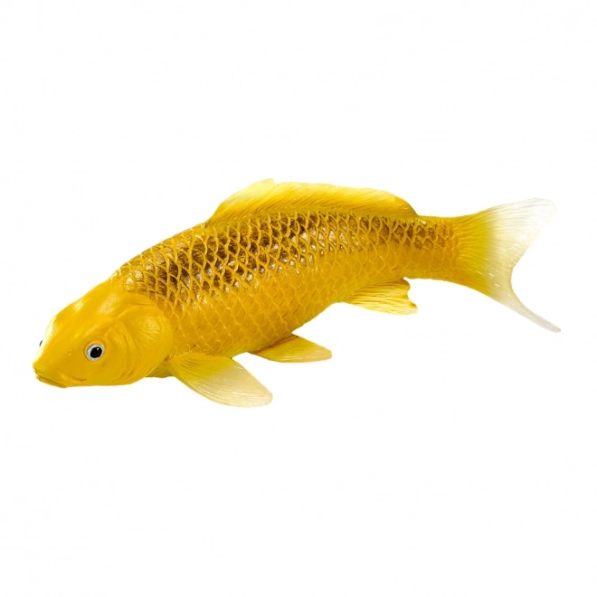 Mojo Karpfen Koi Matsuba