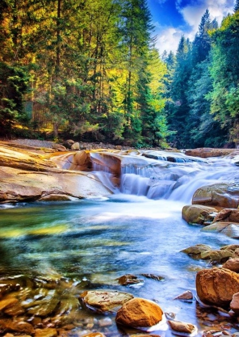 Puzzle Schöner Wasserfall im Wald