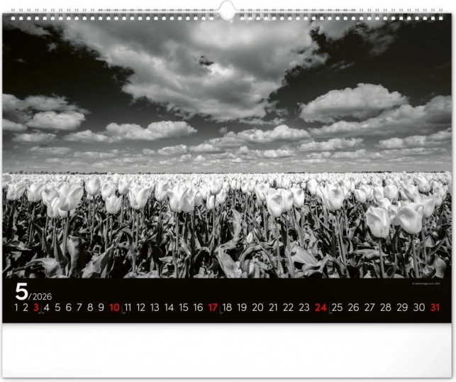 Wandkalender Traumlandschaft 2026