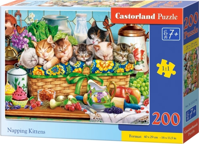 Puzzle Schlafende Kätzchen