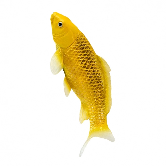 Mojo Karpfen Koi Matsuba