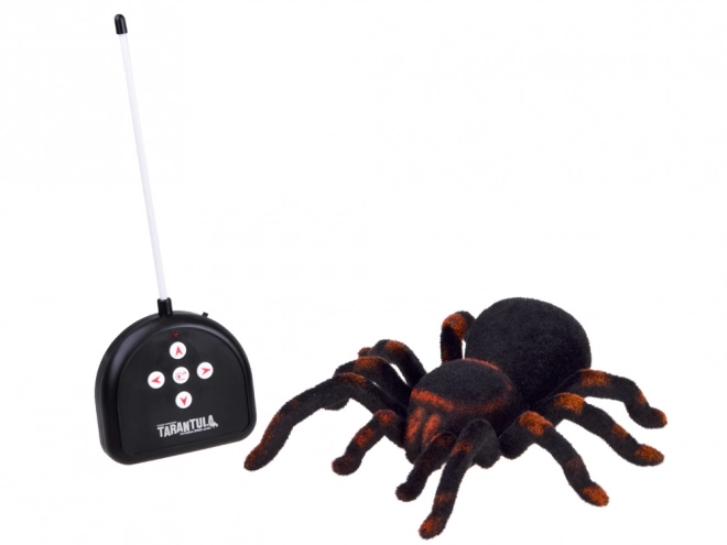 Fernsteuerbare Tarantel Spinne