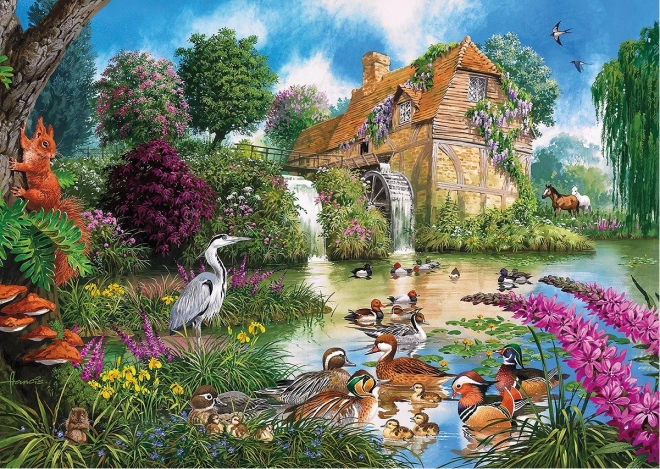 Wunderschöne Naturthemen