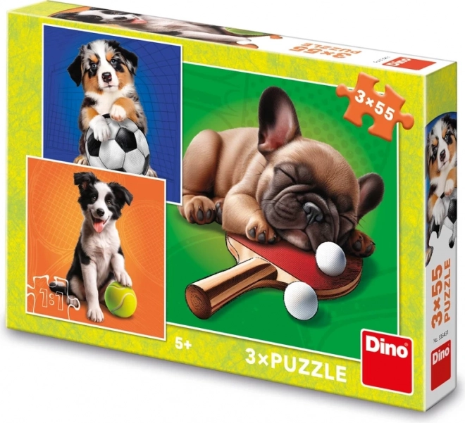 DINO Puzzle Hundsportler