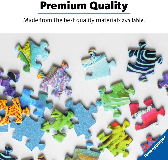 Puzzle Ravensburger Magische Fahrt