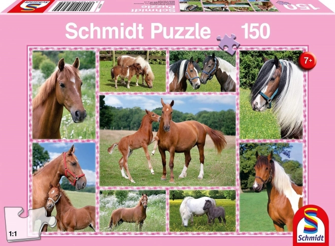 Wunderschöne Pferde Puzzle 150 Teile