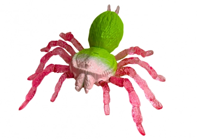 Dehnbare Spinne Figur Spielzeug Grün
