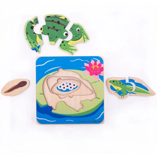 Schichtenpuzzle Lebenszyklen Frosch