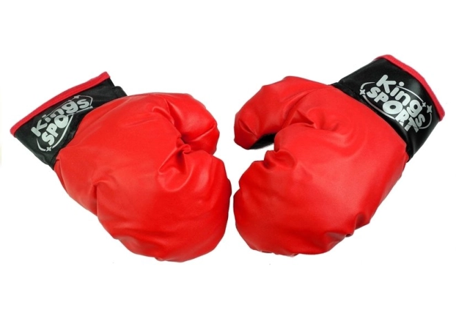 Boxhandschuhe
