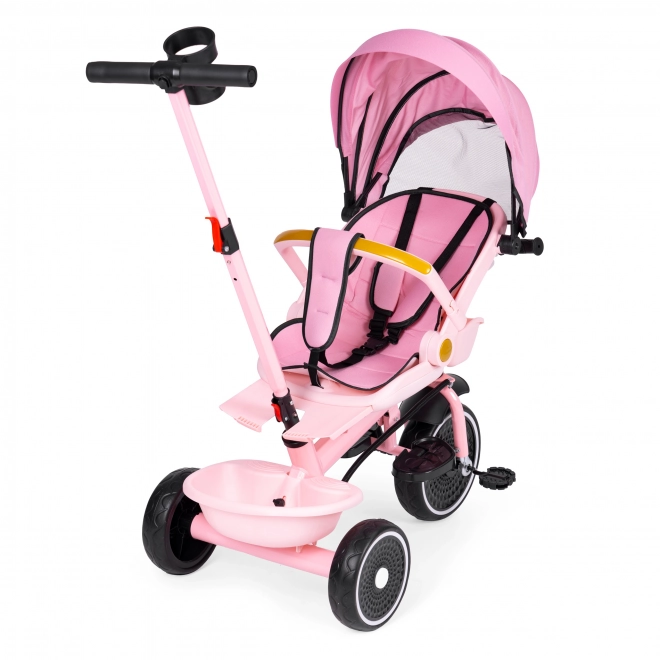 2-in-1 Dreirad Kinderwagen ECOTOYS