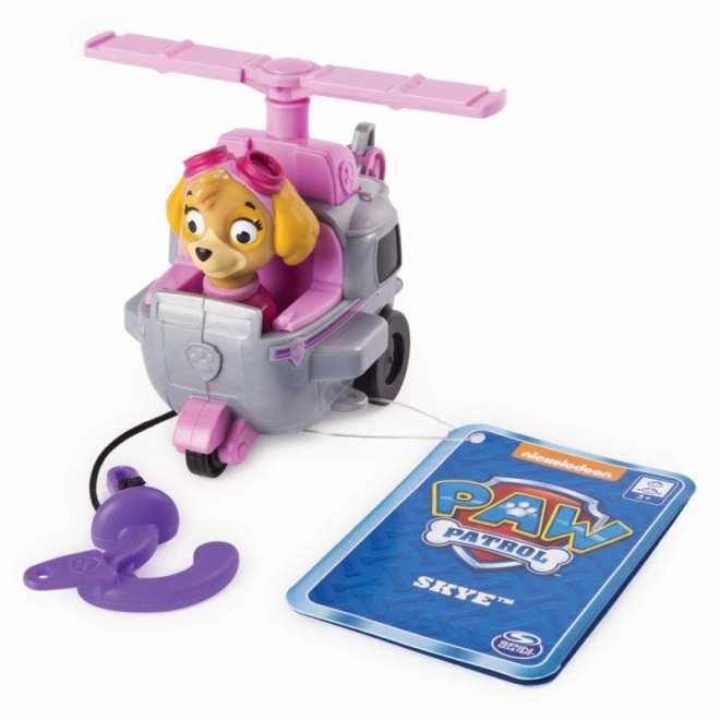 Paw Patrol kleines Fahrzeug mit Figur verschiedene Arten