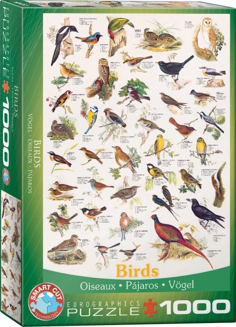 Eurographics Puzzle Vögel 1000 Teile