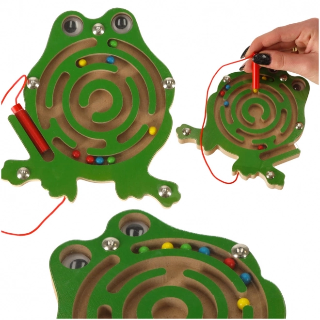 Magnetisches Kugellabyrinth Frosch