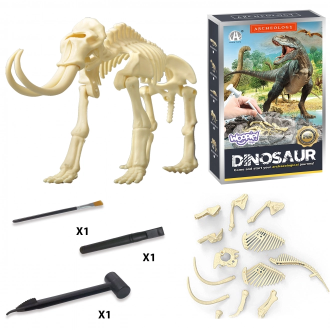 Woopie kreative Spielzeug-Dinosaurierskelett archäologische Ausgrabungen