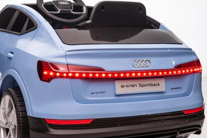 Audi E-Tron Autobatterie Blau QLS-6688