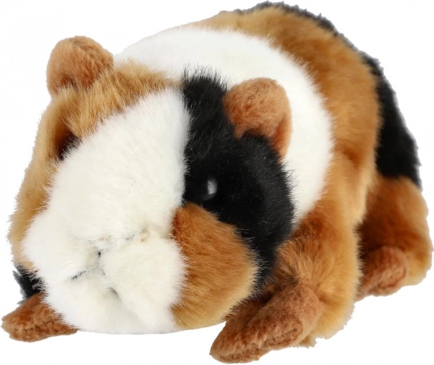 Realistische dreifarbige Färbung