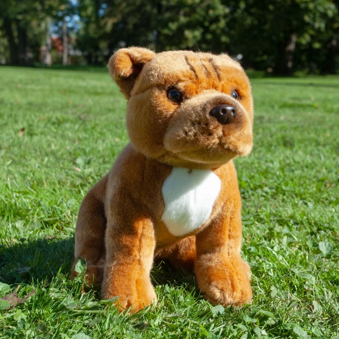 Plüschhund Staffordshire Bullterrier Braun Sitzend 30 cm