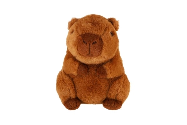 Plüsch-Kapybara 22 cm