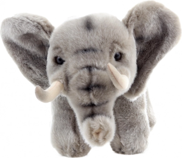 Umweltfreundliche Materialien