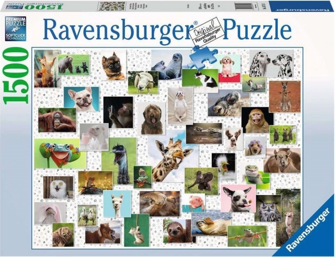 Ravensburger Puzzle 1500 Teile Lustige Tiere