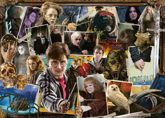 Harry Potter Voldemort Puzzle 1000 Teile