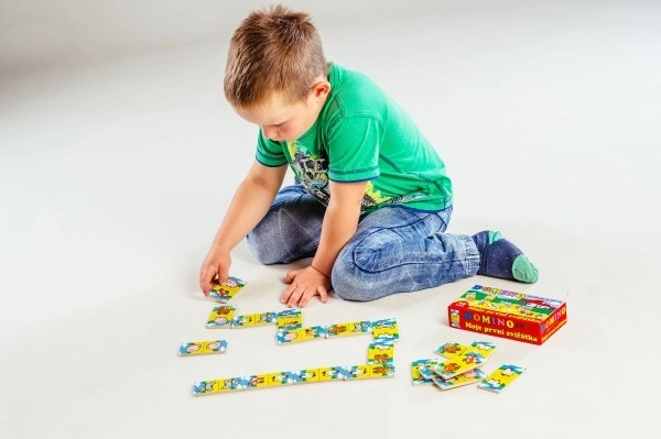 Mein Erstes Domino Tiere Holzspiel