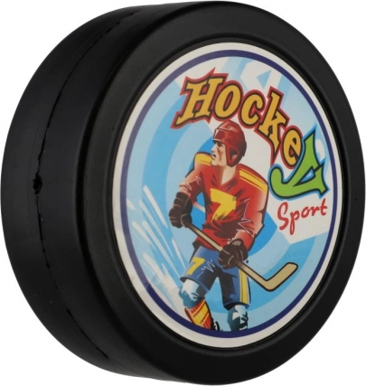 Puck ideal zum Training