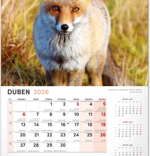 Jagd-Wandkalender 2026