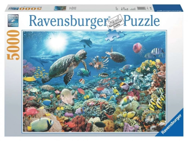 Anspruchsvolles Design für Puzzle-Enthusiasten