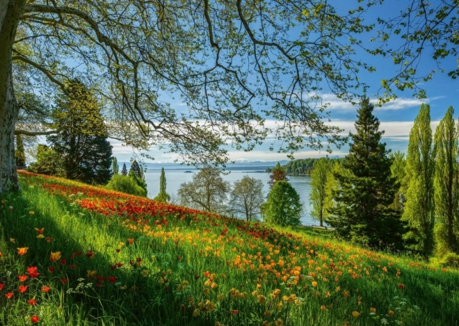 Puzzle Blühende Tulpen auf der Insel Mainau 1000 Teile