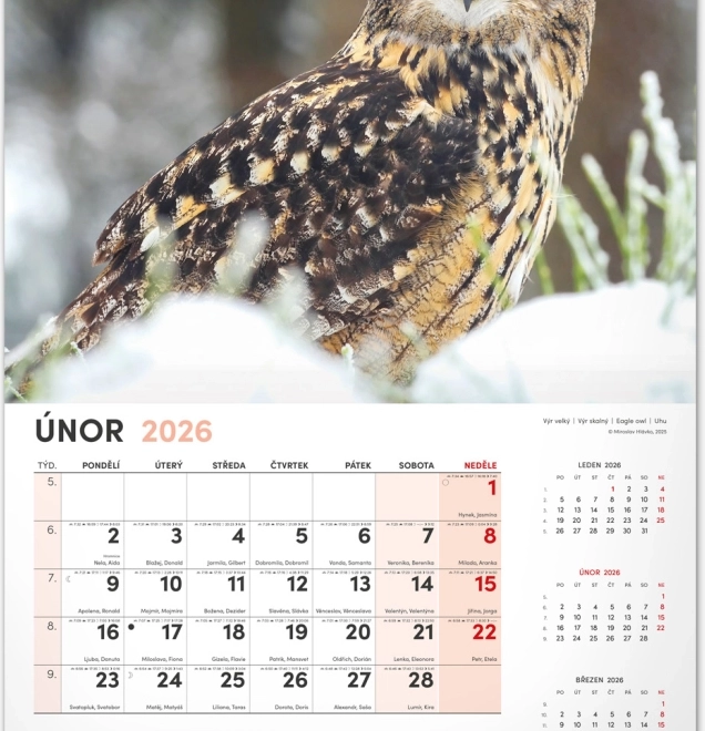Jagd-Wandkalender 2026