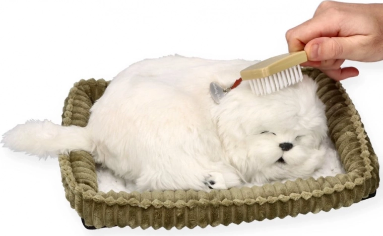 Pflege und Kuscheln wie mit einem echten Hund